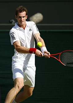 Andy Murray Prints: Andy Murray