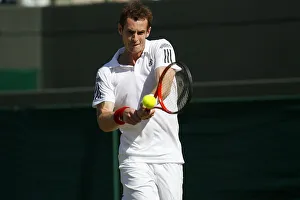 Andy Murray Prints: Andy Murray