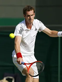 Andy Murray Prints: Andy Murray