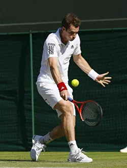Andy Murray Prints: Andy Murray