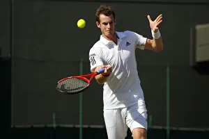 Andy Murray Prints: Andy Murray