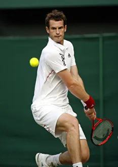 Andy Murray Prints: Andy Murray