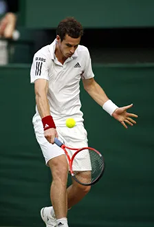 Andy Murray Prints: Andy Murray