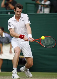 Andy Murray Prints: Andy Murray