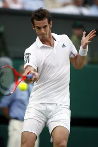 Andy Murray Prints: Andy Murray