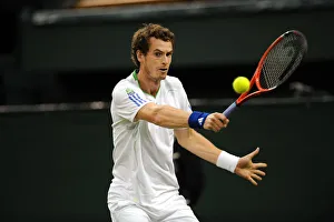 Andy Murray Prints: Andy Murray