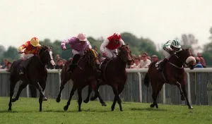 Hill Prints: Anniversarypresent (Blinkers)