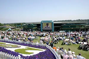 Aorangi Terrace (Henman Hill)