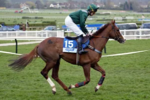 Arabian Moon