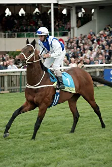 Guineas Prints: Aramus