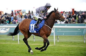Horse Racing Prints: Area Fifty One