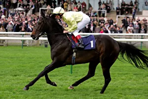Newmarket Prints: Areyoutalkingtome