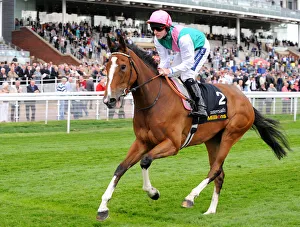Dante Prints: Arizona Jewel Ridden By Tom Queally