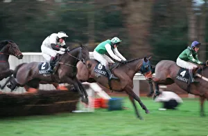 Ascot Prints: Ascot Blur