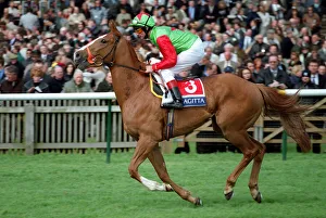 Newmarket Prints: Ashlinn