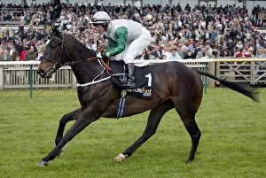 Darley Prints: Attraction