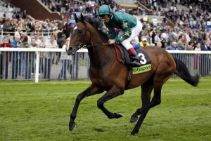 Dettori Prints: Authorized