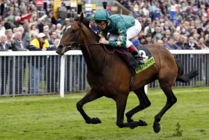 Dettori Prints: Authorized Ridden By F Dettori Wins