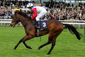 Newmarket Prints: Ba Foxtrot