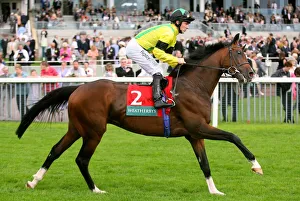 Ebor Prints: Baddam