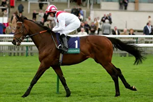 Newmarket Prints: Bahar Shumaal