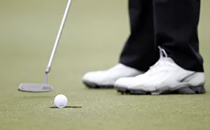 Annes Prints: Ball Drops Into Hole