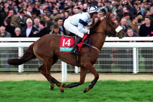 Marston Prints: Ballet-K