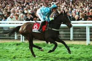 Dobbin Prints: Go Ballistic