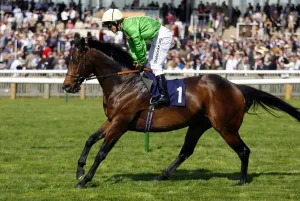 Fortune Prints: Baltic King