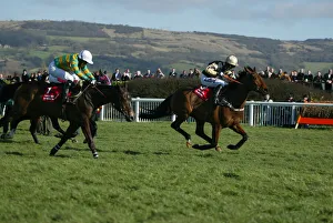 Ladbrokes Prints: Baracouda & Inglis Drever