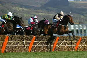 Ladbrokes Prints: Baracouda, Westender and Inglis Drever
