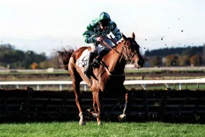 Barnburgh Boy