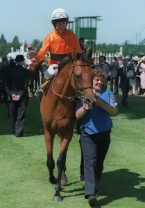 Beauchamp Hero Wnr Hardwicke