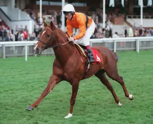 Racehorse Prints: Beauchamp Jazz