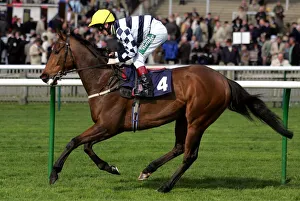 Newmarket Prints: Beckermet