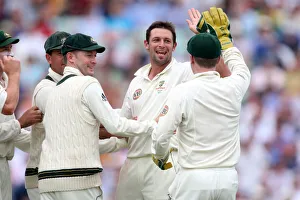 Wicket Prints: Ben Hilfenhaus Celebrates Strauss Wicket