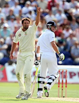 Pietersen Prints: Ben Hilfenhaus & Kevin Pietersen