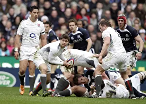 Tigers Prints: Ben Youngs At Scrum Half