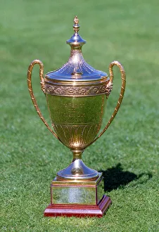 Hedges Prints: Benson & Hedges Cup