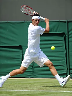 Bernard Prints: Bernard Tomic