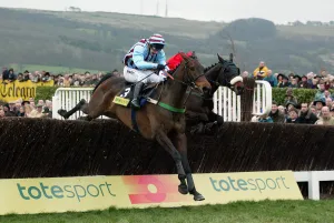 Gold Prints: Best Mate Wins Gold Cup 2004