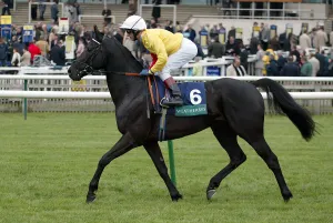 Dettori Prints: Big Bad Bob