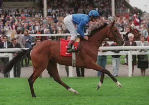 Dettori Prints: Bint Baladee