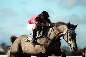 Birkdale Prints: Birkdale