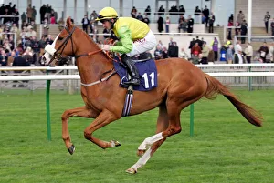 Newmarket Prints: Blades Girl