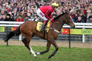 Thornton Prints: Blazing Bailey