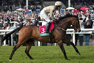 Blue Prints: Blue Spinnaker