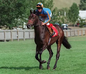 Bold Orienal