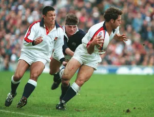 Bracken, Underwood, Wainwright