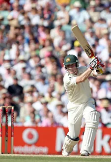 Brad Haddin